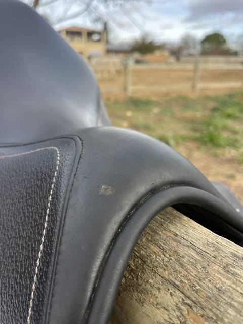 Selle « lyon » privilège équitation 