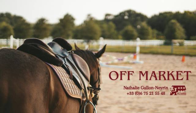 Pays de gex opportunite