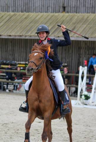 Poney d de sport 