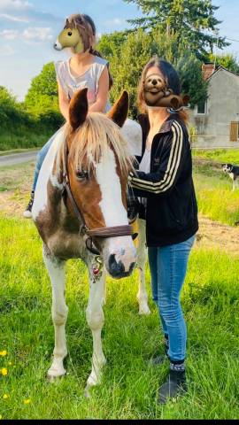 Super jument polyvalente 