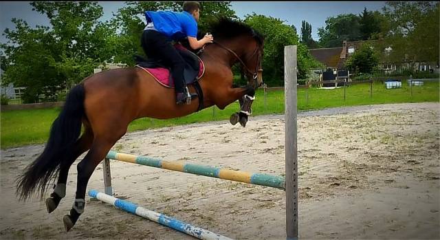 Bohemio - pre 14 ans - tous niveaux