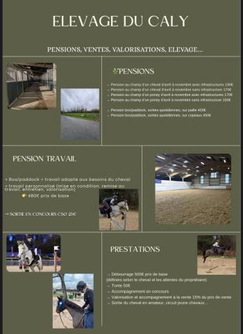 Pension équestre - élevage du caly - 50480 utah beach 