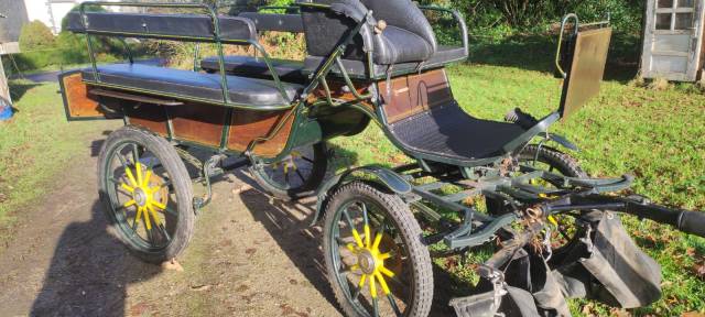 Calèche wagonnette de 6 + 2 places