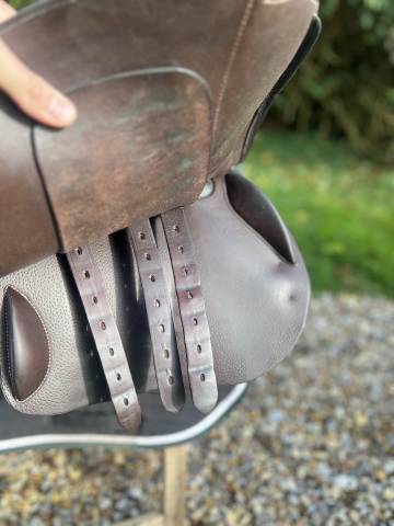 Selle séoul forestier