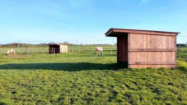Toulouse - ecurie à louer