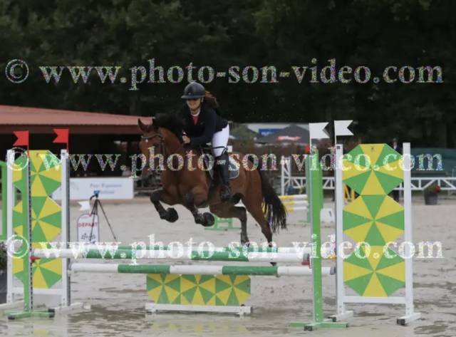 ? à vendre – superbe ponette de 7 ans – 1m49 ferré – c