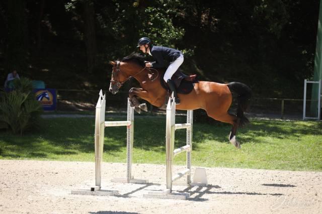 Jument 12 ans - gp 130 / amateur élite 