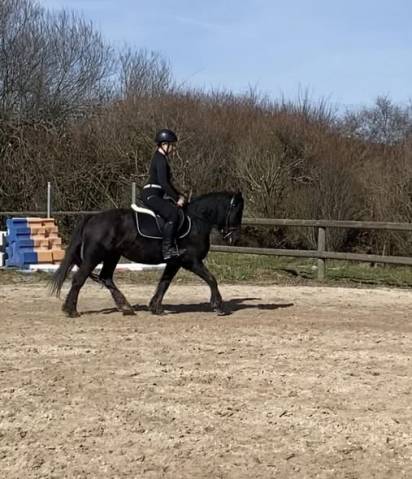 Ponette merens 6 ans en 2026