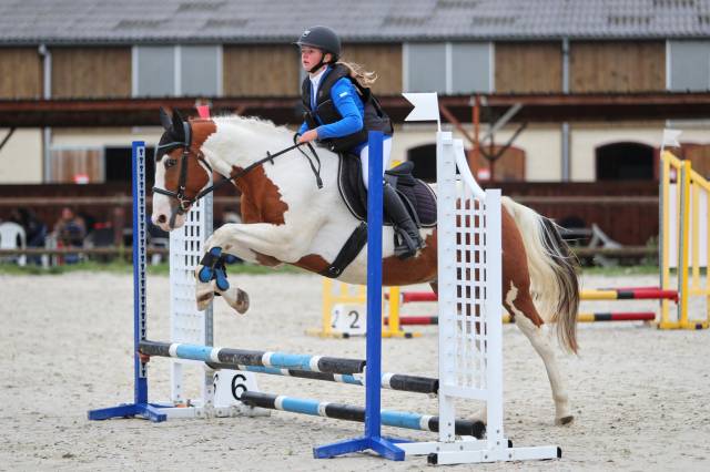 Cheval idéal loisir / concours club