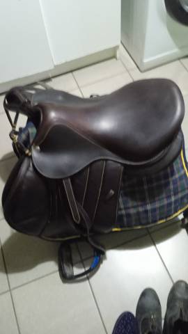 Selle forestier seoul