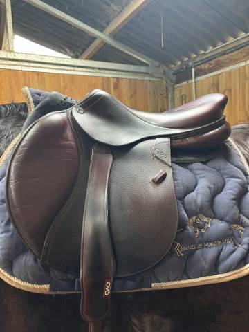 Vends selle mixte 2019 cwd 17,5 avec housse et étrivièr