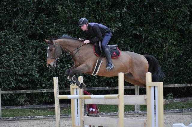 Hongre maître d’école de 2014 top amateur