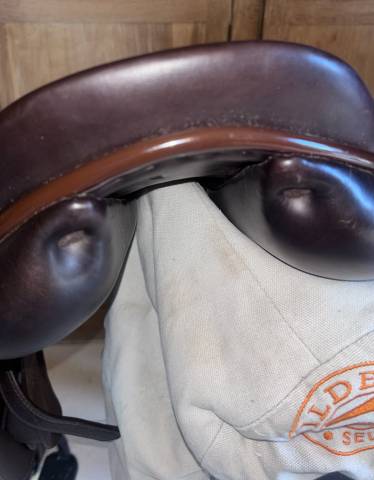 Selle childeric année 2024