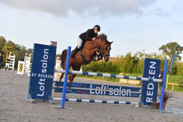 Magnifique étalon zangersheide agréé 