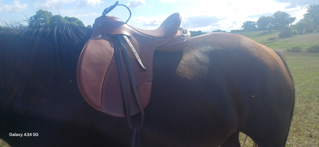 Selle de cheval 18 pouce