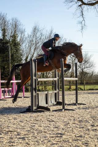 Jument baie 6 ans par el barone 1m75