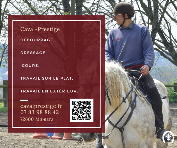 Prestataire de service équestre, débourrage, cours ,...