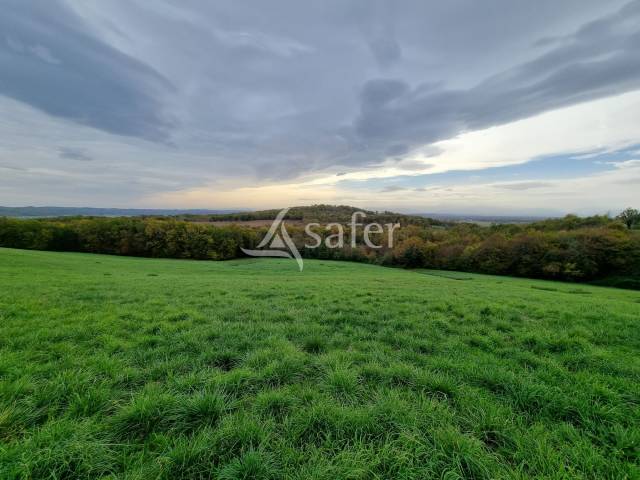 Stabulation et 20ha proche de rabastens-de-bigorre