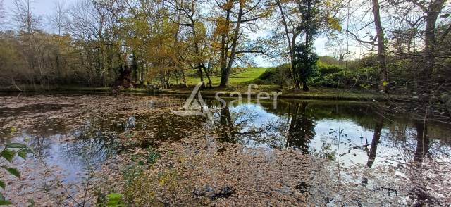 Etang, pré et bois sur 2ha24 en périgord vert