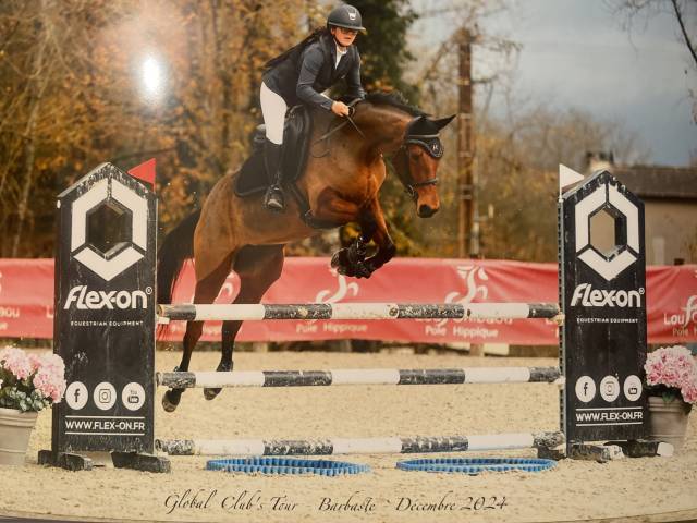 ⚠️ à vendre – jument d’avenir prête à faire plaisir ⚠️