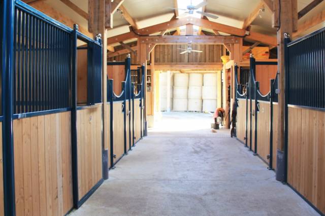 Charmante propriété déployée sur plus de 45ha (63)