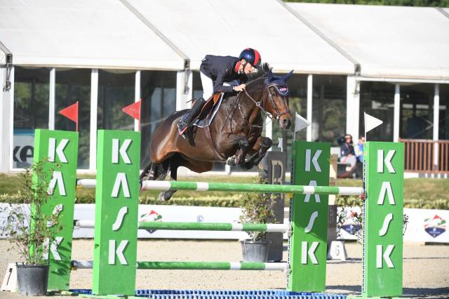 Jument holsteiner a vendre 2011 bai