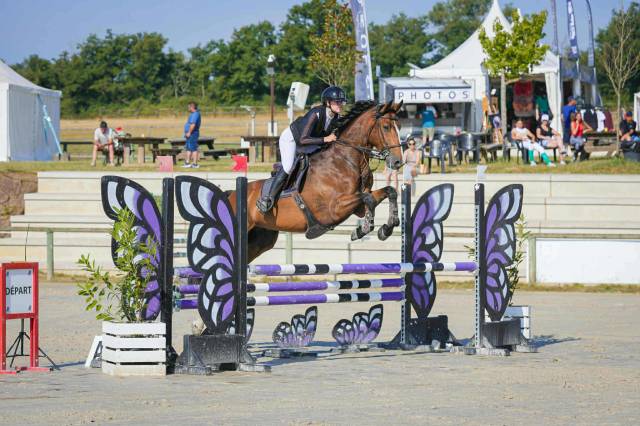 à vendre beau hongre de 6 ans par canturo 