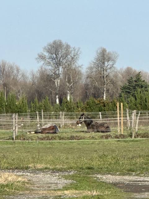 Domaine équestre des pentes