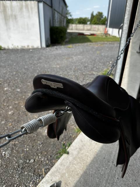 Selle arion à vendre 