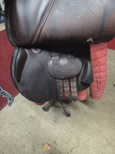 Selle equipe évolution 