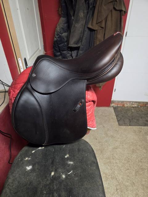 Selle equipe évolution