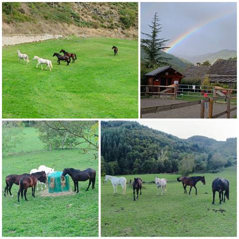 Au calme de l'ardèche