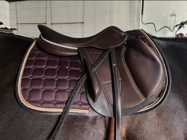 Selle de cross arion 2024