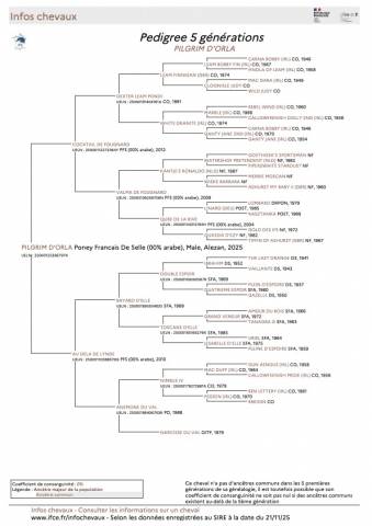 Poulinière pfs 16 ans ipo 133, et 3,5 points pace
