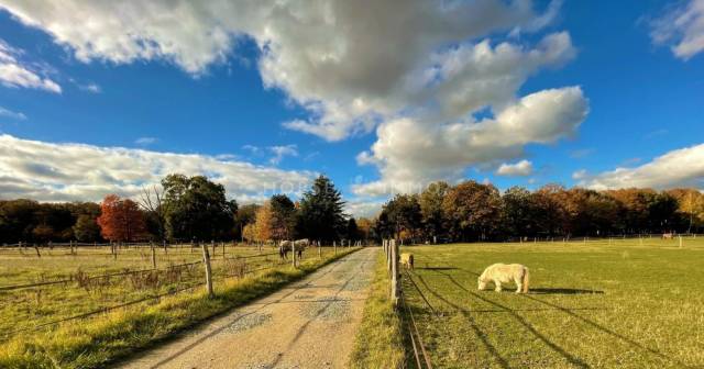 Propriété et installations équestres sur 9,5 hectares dans le