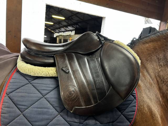 Selle forestier séoul 2023