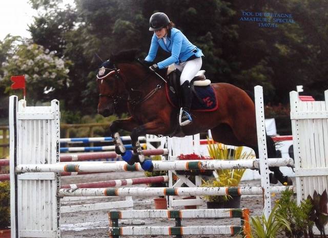 Petit cheval sport belge 