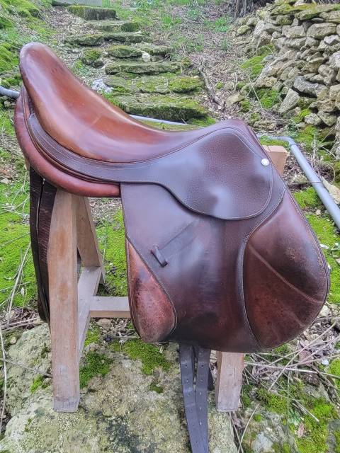 Selle boeckelo forestier