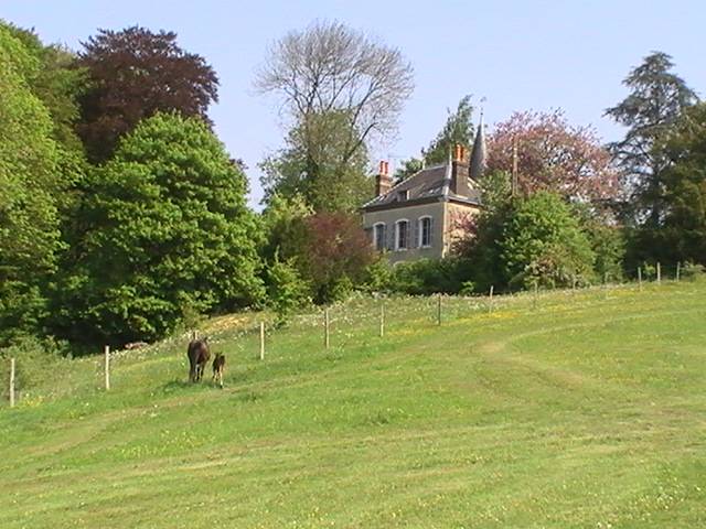 Petit domaine équestre