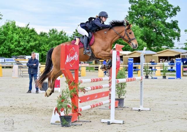 Poney hors taille pour cso/cce 110/115