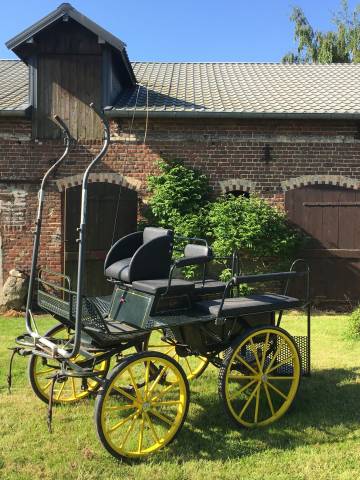 Voiture cheval type marathon loisir