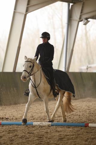 Ponette camargue de 16 ans
