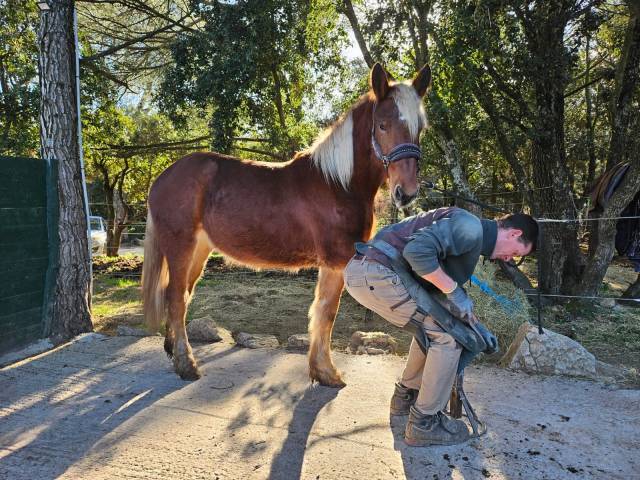 Très jolie et gentille pouliche 