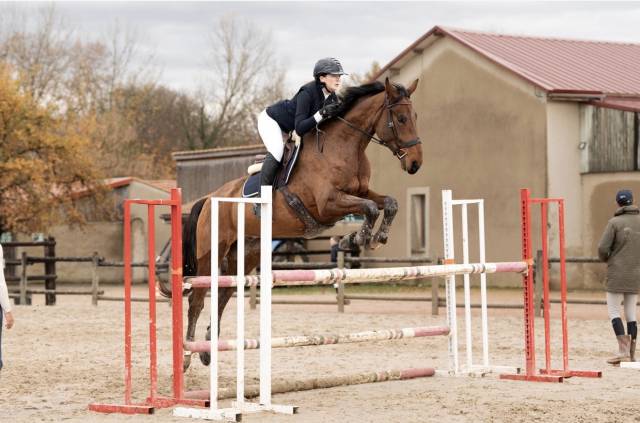 Recherche dp/ pension complète 