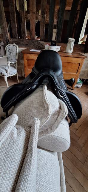 Selle antares modèle cadence de 2022