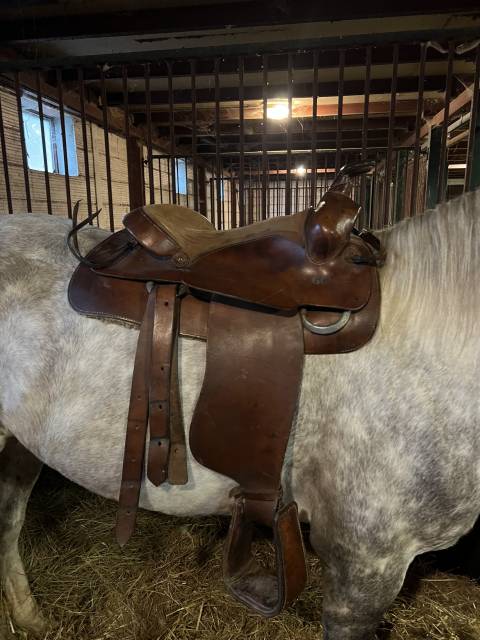 Selle western bronco spécial