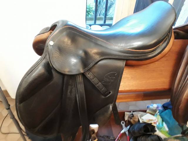 Selle de cross forestier