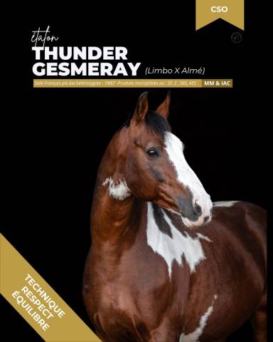 Thunder gesmeray zeke don kichot pawnee : saillies etalon de couleur