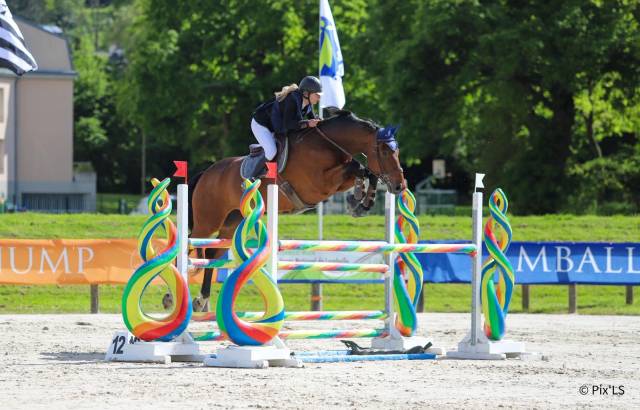 Hongre sf maître d’école