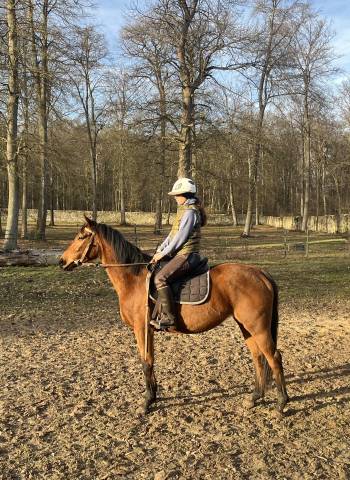 Jument 5 ans - loisir, balades, sport